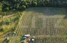 Afacere la Cheie: Plantație Afine – 1.93 Ha – Profit Garantat - 3