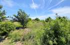 Teren intravilan Snagov / Ciofliceni / 678 mp / D: 52.20 m / comision 0% - 10