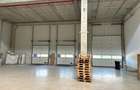 COMISION 0 / Hala clasa A / Autorizatie ISU / Show-room - 5