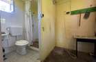 CASA LA TARA | 6770MP TEREN | JOSANI | BIHOR | - 9