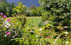 House for sale, 5 Rooms, 180 sqm, Valea Dejani - 12