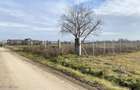 Afumati - Str. Iasomiei, 2409 MP, stradal, intravilan, deschidere 12 m - 1
