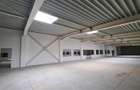 Hala productie de vanzare Timisoara - Exterior Nord, COMISION 0 - 5