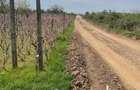 TEREN INTRAVILAN-500 MP-STR.SCOLII - 2