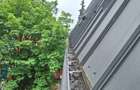 Apartament de vanzare cu gradina ap 60 Gradina 60 - 11