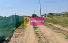 Teren Domnesti- Ciutaci. - 1