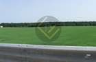 Teren 9Ha -> 16Ha Ha Intravilan , Exit A3 Snagov Ghermanesti Bucuresti-Ploiesti - 13