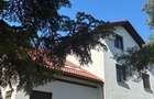 Vila Pipera 785 mp,  in curs de totala renovare, 6 dormitoare, 6 bai, S+P+E+M - 2