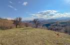 Refugiu de poveste în inima naturii | 12.000 mp în Holbav | Proiect început - 17