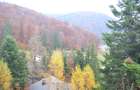 Teren intravilan situat in Busteni-Valea Alba - 4