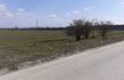 Teren intravilan 10.000 -38.000 mp industrial 1 Decembrie- DN5 stradal - 5