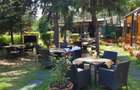 Spatiu  comercial -Parc Herastrau - 6