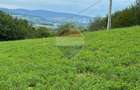 Teren 5600mp | Copalnic-Manastur TOATE UTILITATILE PE PROPRIETATE - 6