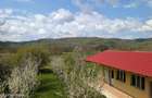 Arges | Valea Mare-Bratia | Vila 276 mp Lot 2063 mp | Zona Pitoreasca! - 20