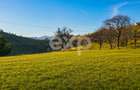 PANORAMA POIANA MĂRULUI | Terenuri cu potențial de dezvoltare - 3