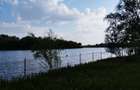 SUPER OCAZIE SE VINDE VILA DE LUX SI CASA DE OASPESTI IN BALOTESTI LA LAC 555000 - 50