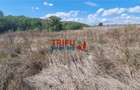 Teren intravilan 2100 mp de vanzare in Teleac la asfalt cu toate utilitatile - 3