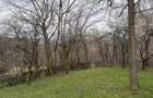 Teren intravilan 1518 mp, constructie, Sotrile, Prahova - 24 EUR/mp - 9