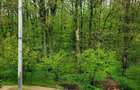 Duplex 4 camere | Tunari | Curte & Pădure - 3