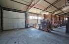 Hale Industriale 5065 mp de vanzare Str. Bradului - Bacau - 11