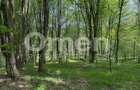 Ideal pentru cabana | zona de camping - 2