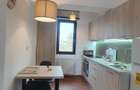 Unirii - Nerva Traian, apartament 3 camere, mobilat modern, TOTUL NOU, CENTRALA - 24