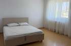 De inchiriat apartament 2 camere zona Nicolae Grigorescu - 4