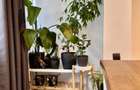 Apartament 3 camere, strada Turda 129 - 6