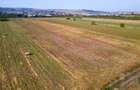 Teren intravilan, 2.800 m2, Cluj-Napoca - 13 Teren intravilan, 2.800 m2, Cluj-Napoca - 13