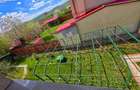 Vilă de vânzare 6 camere – Bănești | Exclusivitate Mirva Imobiliare - 30