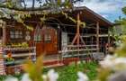DOMNESTI,VILA,4 CAMERE,258 MP,TEREN 700 MP,AN 2017,MOBILATA - 38