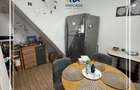 Vila renovat de vanzare D+P curte proprie 774 mp, semicentral Arad - 20