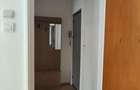Vanzare apartament luminos de 2 camere in Titan-Lotru, pret negociabil - 8