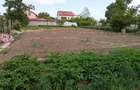 PALAZU MARE CASA CU TEREN 1400 MP DESCHIDERE 12ML PRET 240.000 EURO - 10