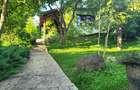 Vand 0.75 ha in Bazna cu 3 case, livada, gradina, pentru pensiune, camping... - 2