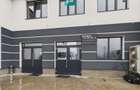 Spații Birouri Noi 2025, Nufărul, Parcare - 9