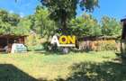 Vila pretabila pensiune + restaurant,  10 camere,  1000MP teren - 2