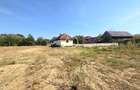 CASĂ ȘI 1.672 MP TEREN LA STRADA PRINCIPALĂ – POJOGENI, TG-CĂRBUNEȘTI - 4