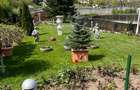 Vanzare vila situata pe malul Lacului Snagov, gradina si piscina, teren 1520 mp, - 4