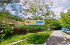 Vanzare casa 5 camere Slanic Prahova - 12