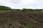 SNAGOV SAT - Teren- 2410m² - Toate utilitatile - Zona de Vile - 2