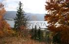 Oportunitate langa lacul Colibita! Teren intravilan 12.588 mp! - 5