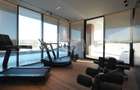 Penthouse spectaculos | vedere catre padurea Baneasa | 2 garaje - 9