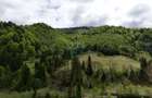 Extravilan + Intravilan | Sătic-Rucăr | Cadru natural | Turistic - 2