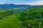 Teren 3.352 mp | Șinca Nouă | Râu | Cadrul natural superb | Comision 0 - 9