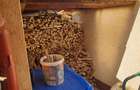 RECO Casa cu 3 camere renovata in Cheresig - 13