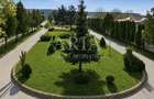 VANZARE VILA | HALA IN VLADICEASCA | SNAGOV | 10.500 MP TEREN - 5
