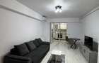 Apartament 2 camere zona Parcul Carol - 3