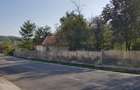 Casă cu 1,6 Hectare de Teren lângă Mănăstirea Govora - 4