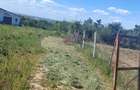 RECO Teren intravilan Paleu - 1